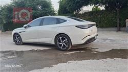 بي واي دي سيل 7